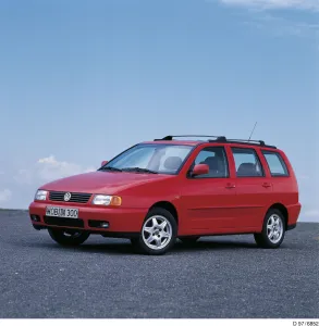 Polo Variant